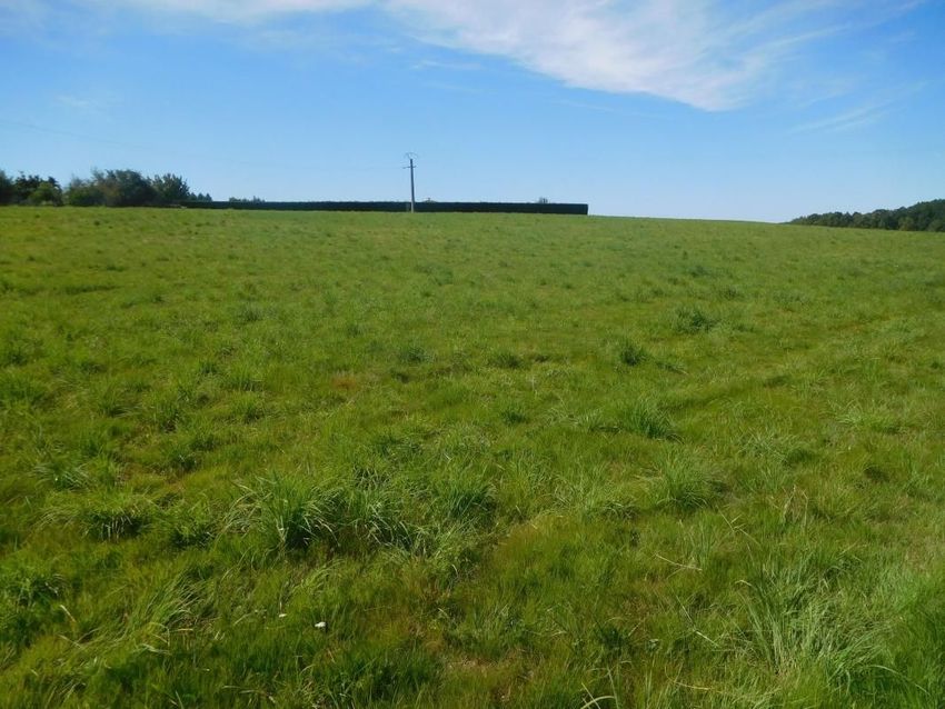 Image Vue à terrain de Saint-Yrieix-la-Perche
