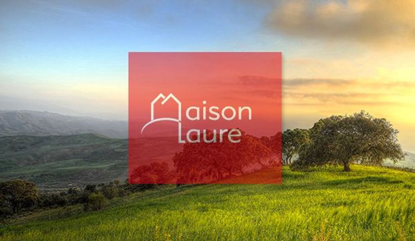 Image Vue à terrain de Semblançay
