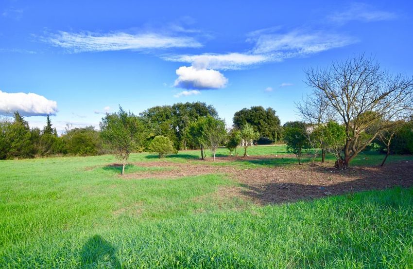 Image de terrain à Pouzilhac