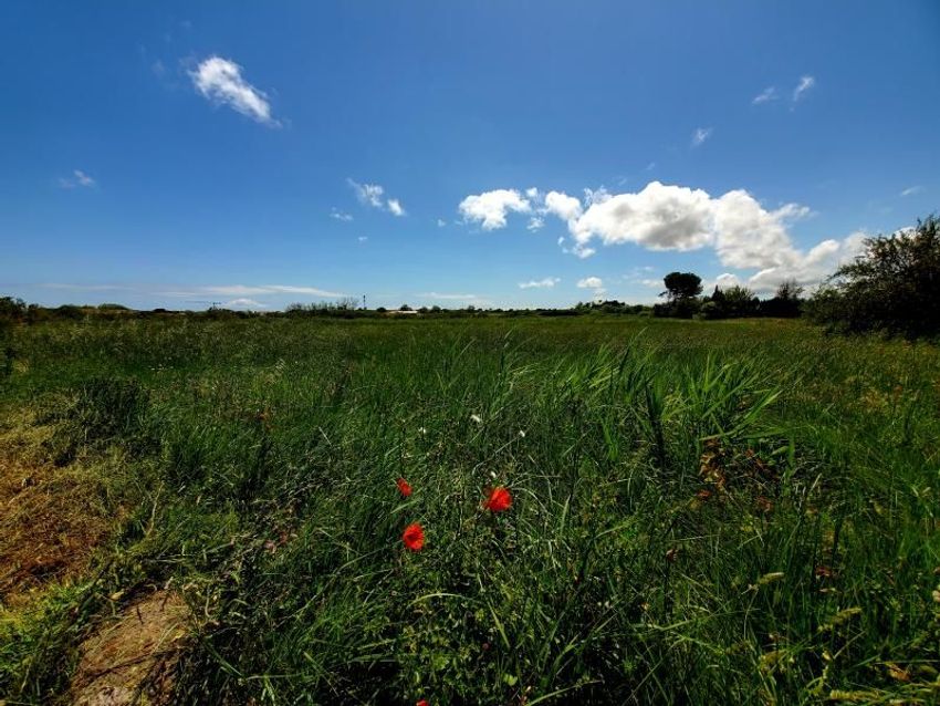 Image de terrain à Marseillan