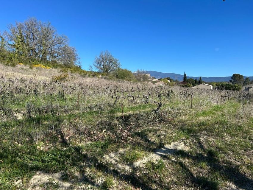 Image de terrain à Saint-Marcellin-lès-Vaison