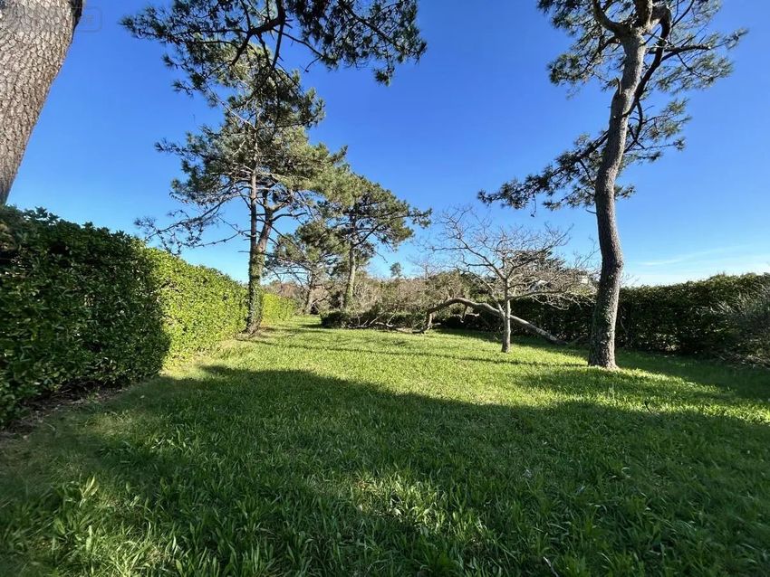Image de terrain à Bangor