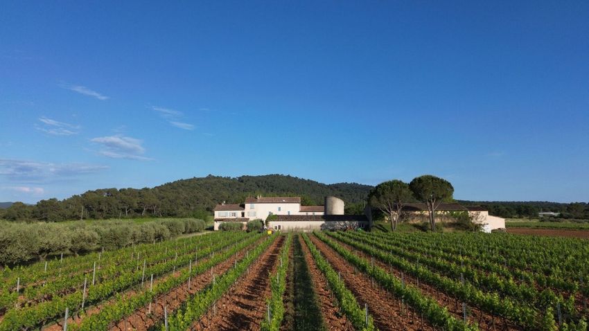 Image Jardin à  maison de maître de Pierrefeu-du-Var