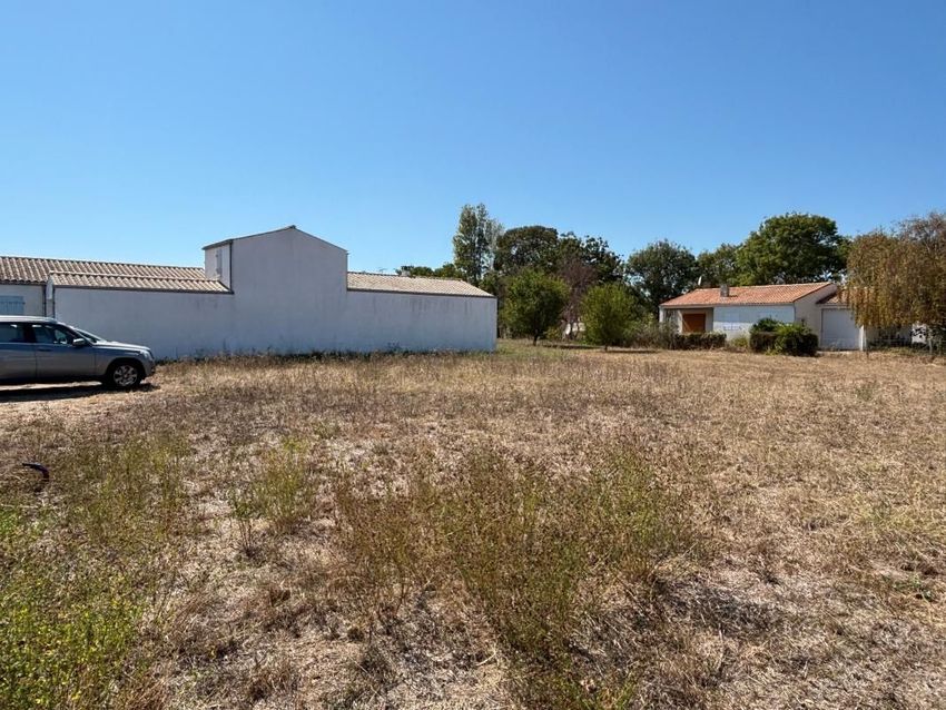 Image de terrain à Saint-Denis-d'Oléron