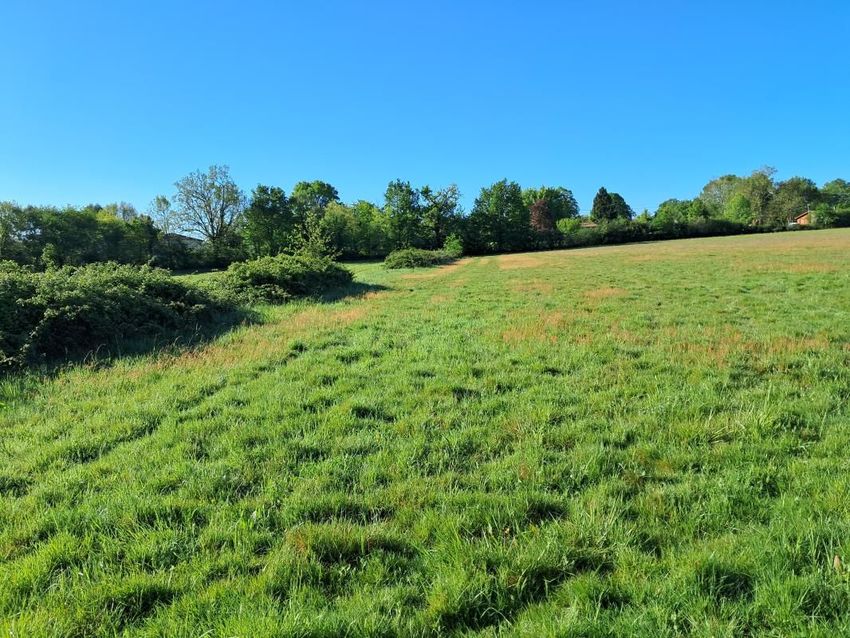 Image de terrain à Saint-Caprais-de-Bordeaux
