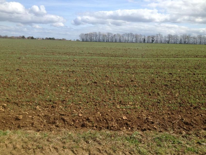 Image de terrain à Villons-les-Buissons