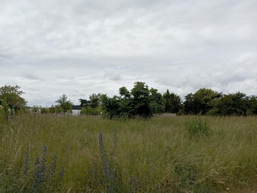 Image de terrain à Moulins