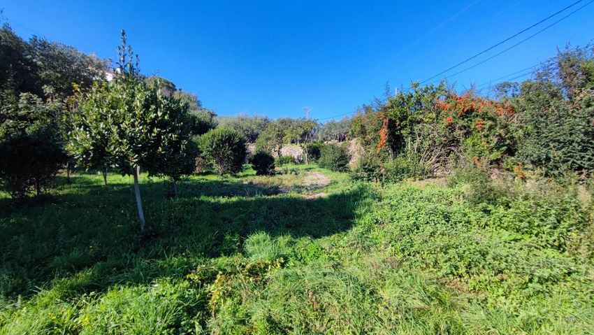 Image de terrain à Alès