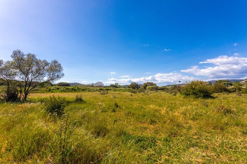 Image Vue à terrain de Bormes-les-Mimosas
