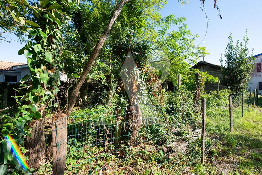 Image de terrain à Gujan-Mestras