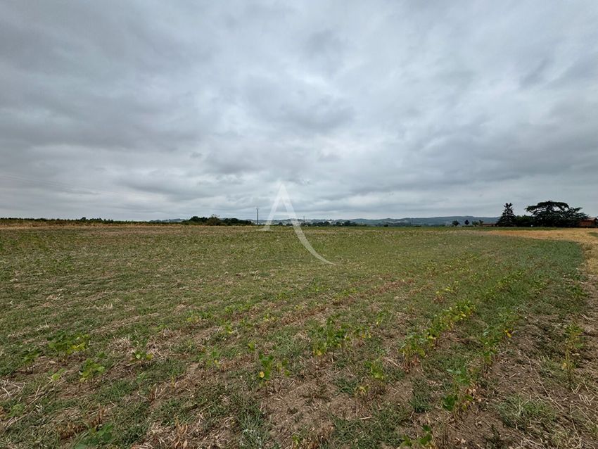 Image de terrain à Lisle-sur-Tarn