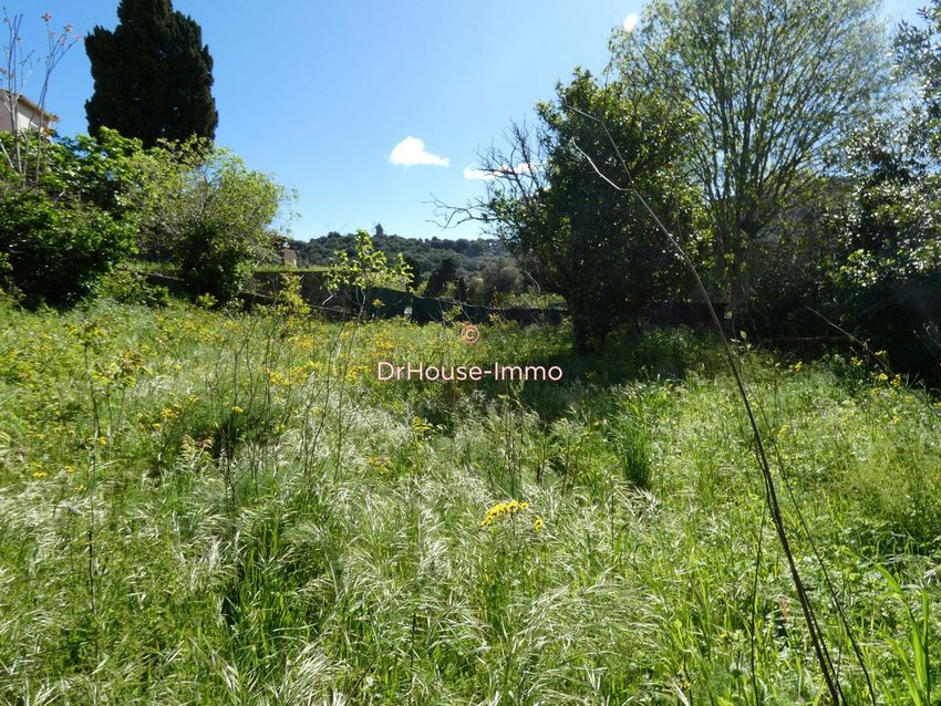 Image de terrain à Collioure