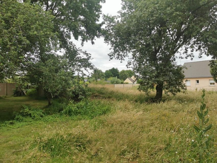 Image de terrain à Saint-Molf