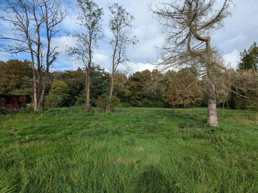 Image de terrain à Saint-Caprais-de-Bordeaux