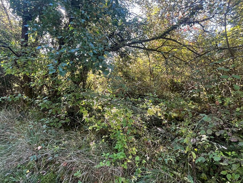 Image de terrain à Bassillac et Auberoche