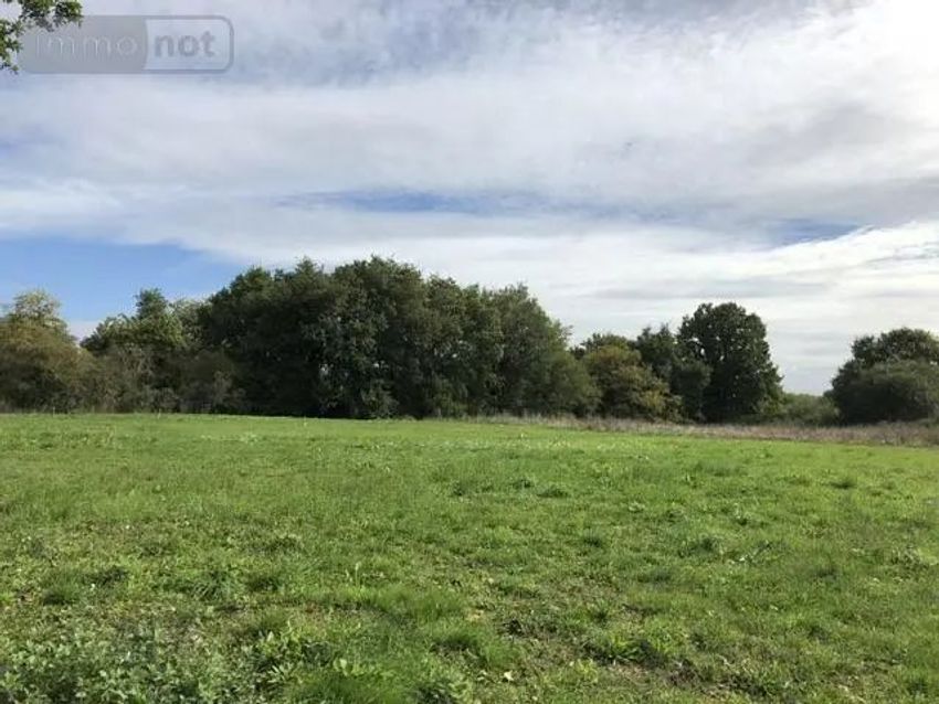 Image de terrain à Écuillé
