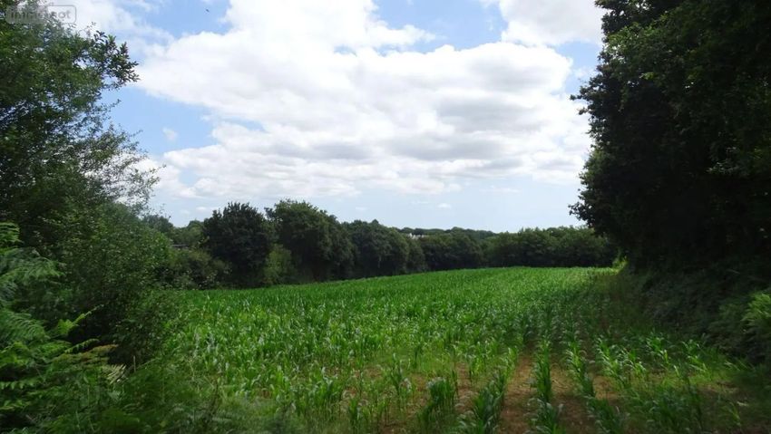 Image de terrain à Landivisiau