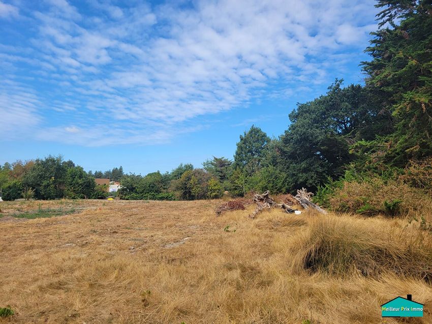 Image de terrain à Villeneuve-en-Retz