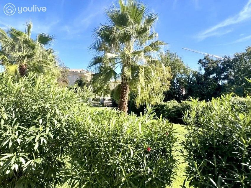 Image Jardin à appartement de San-Nicolao