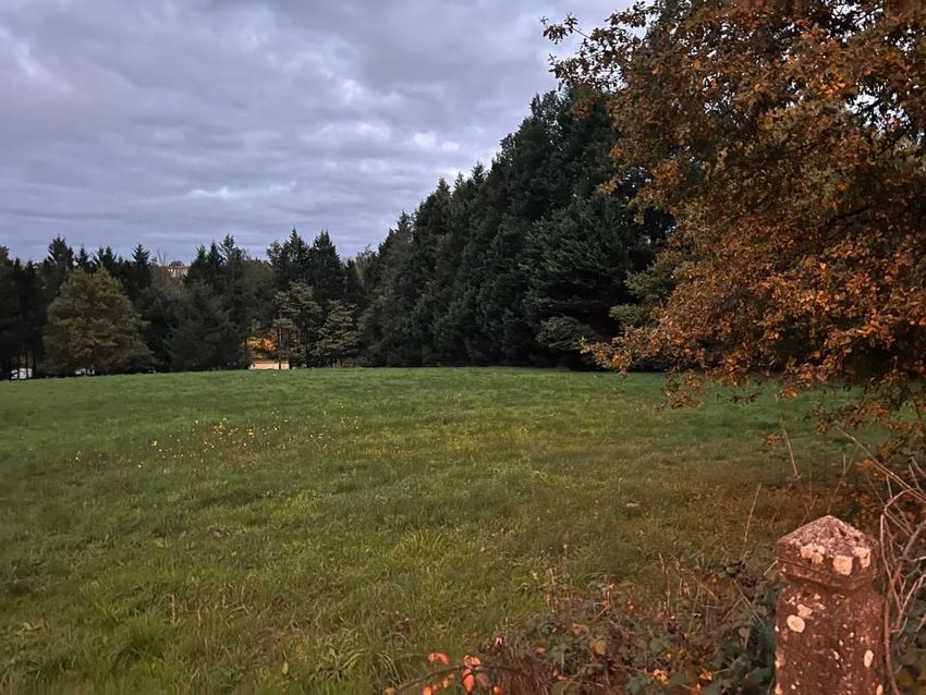 Image de terrain à Limoges