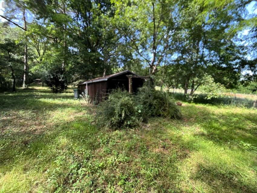 Image de terrain à Larchant
