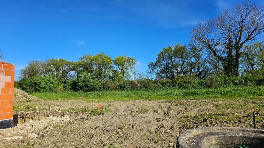 Image de terrain à Breuil-Magné