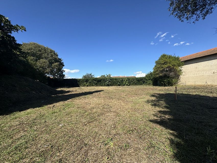 Image de terrain à Maillane