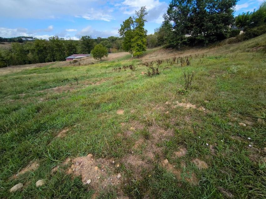 Image de terrain à Malemort