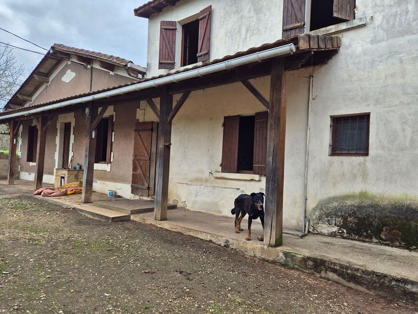 Image Façade à  maison individuelle de Montpon-Ménestérol