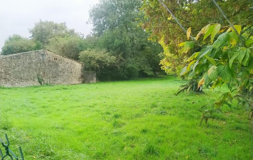 Image de terrain à Échillais