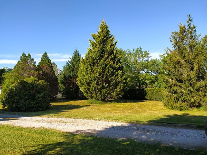 Image de terrain à Pontenx-les-Forges