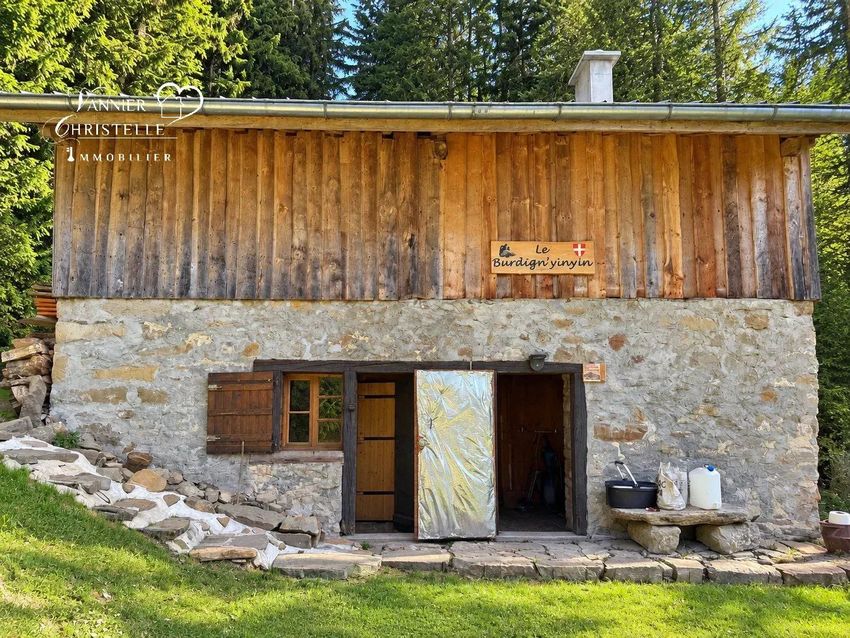 Image Façade à  chalet de montagne de Burdignin