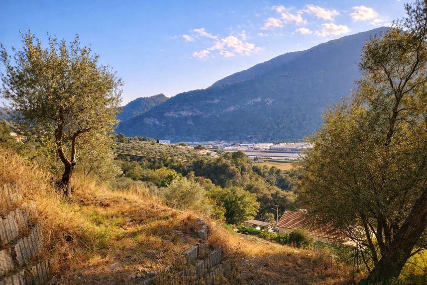 Image Vue à terrain de Saint-Martin-du-Var