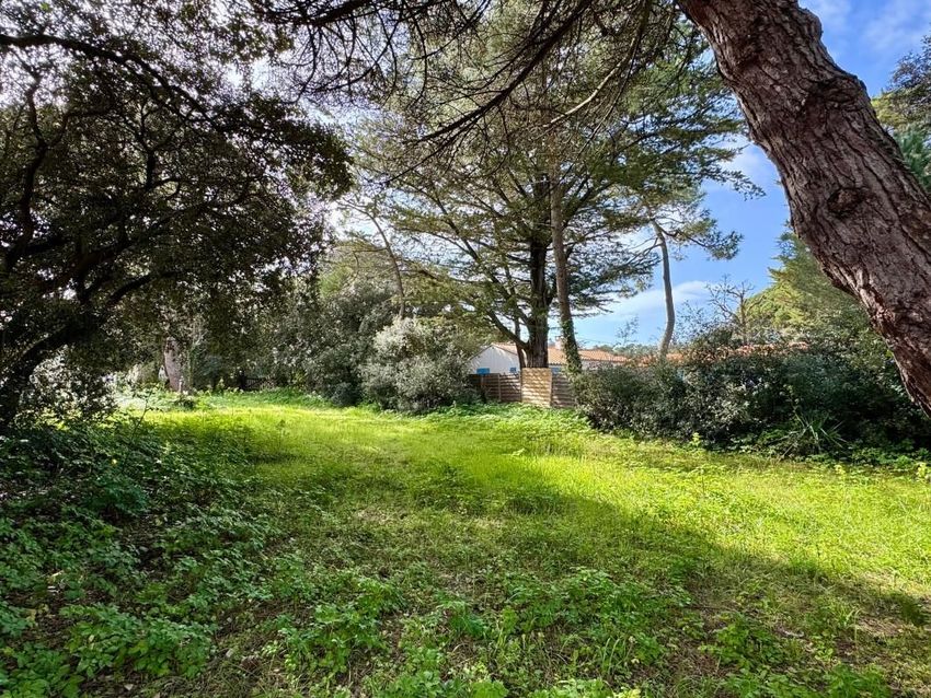 Image de terrain à Saint-Georges-d'Oléron