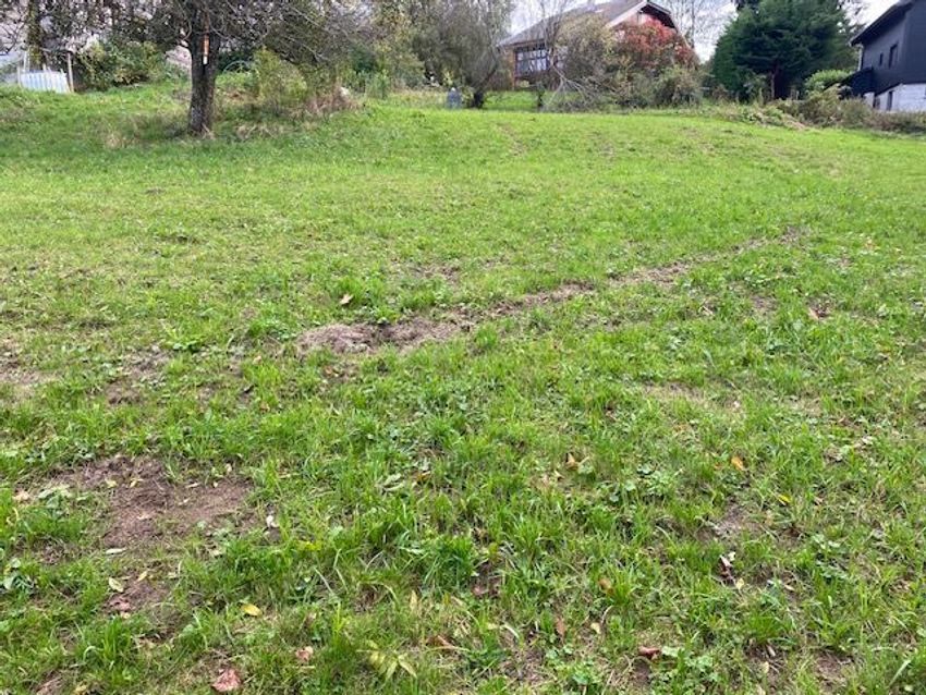 Image de terrain à La Roche-sur-Foron