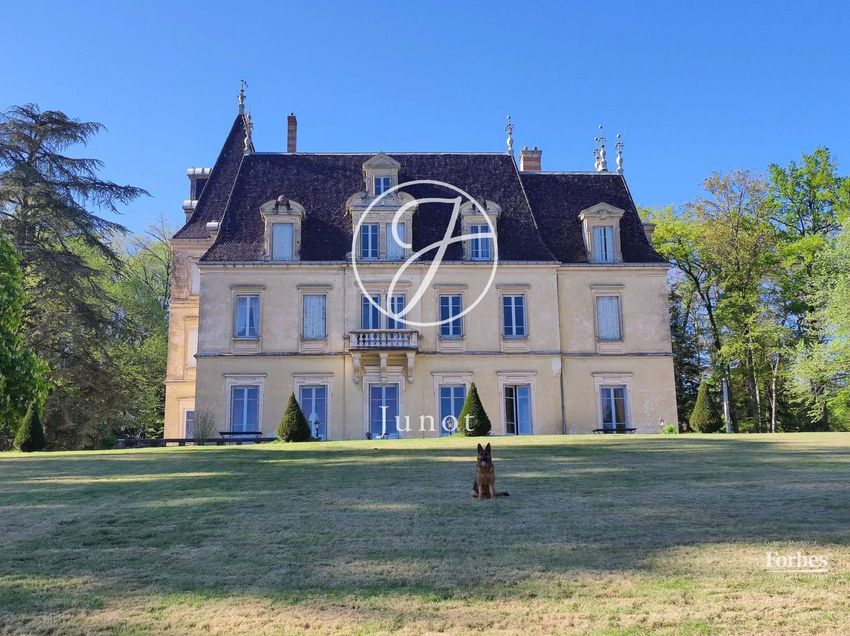 Image Façade à  château de Massieu