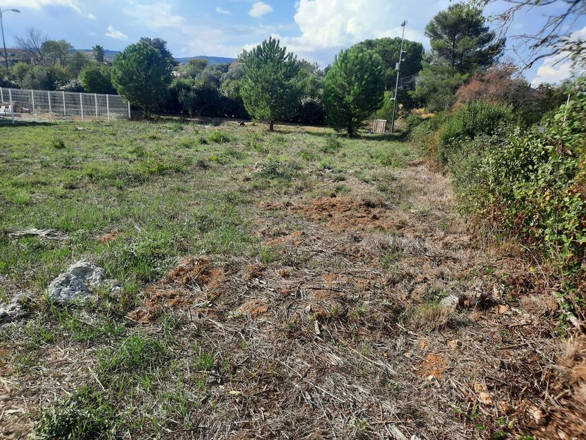 Image de terrain à Saint-Maximin-la-Sainte-Baume