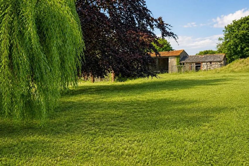 Image Jardin à  maison individuelle de Saint-Macaire-du-Bois