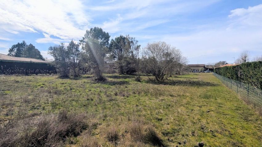 Image de terrain à Messanges