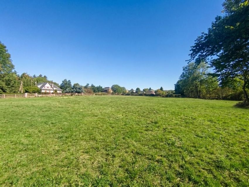 Image de terrain à Saint-Chély-d'Aubrac