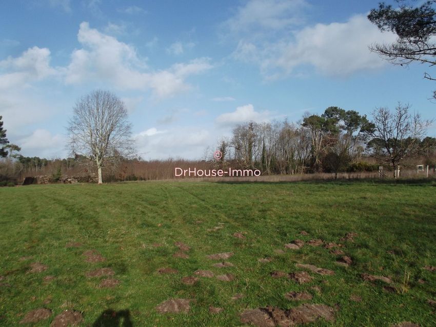 Image de terrain à Cissac-Médoc