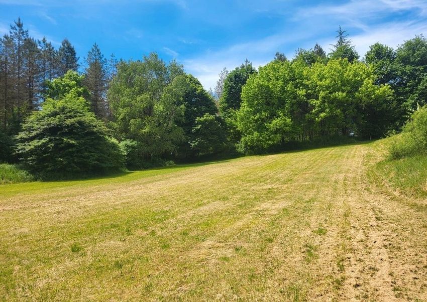 Image de terrain à Sorges et Ligueux en Périgord