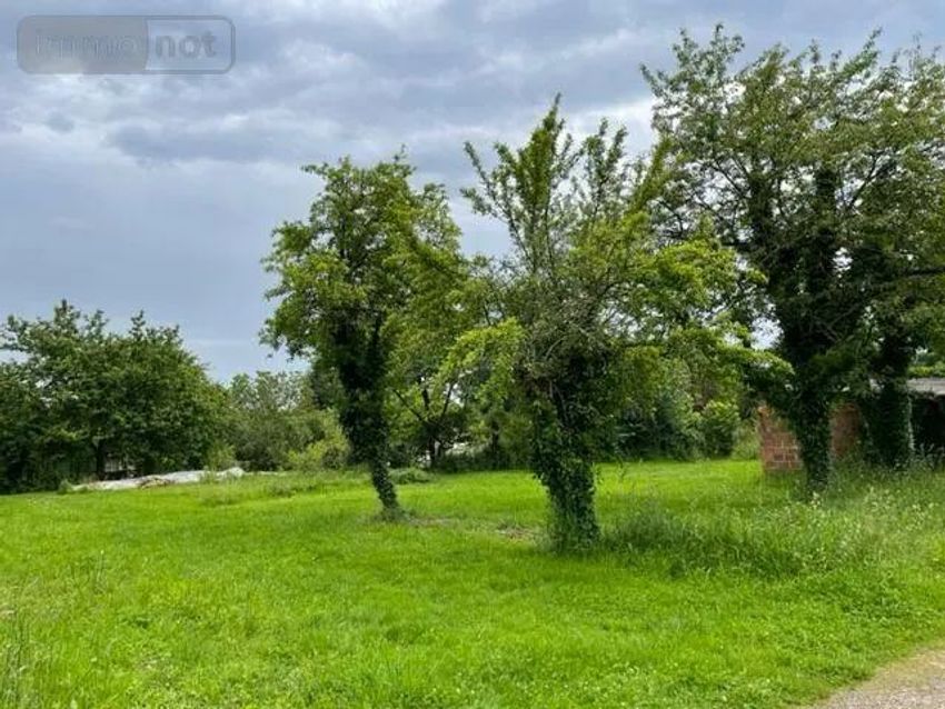 Image de terrain à Chaillac-sur-Vienne