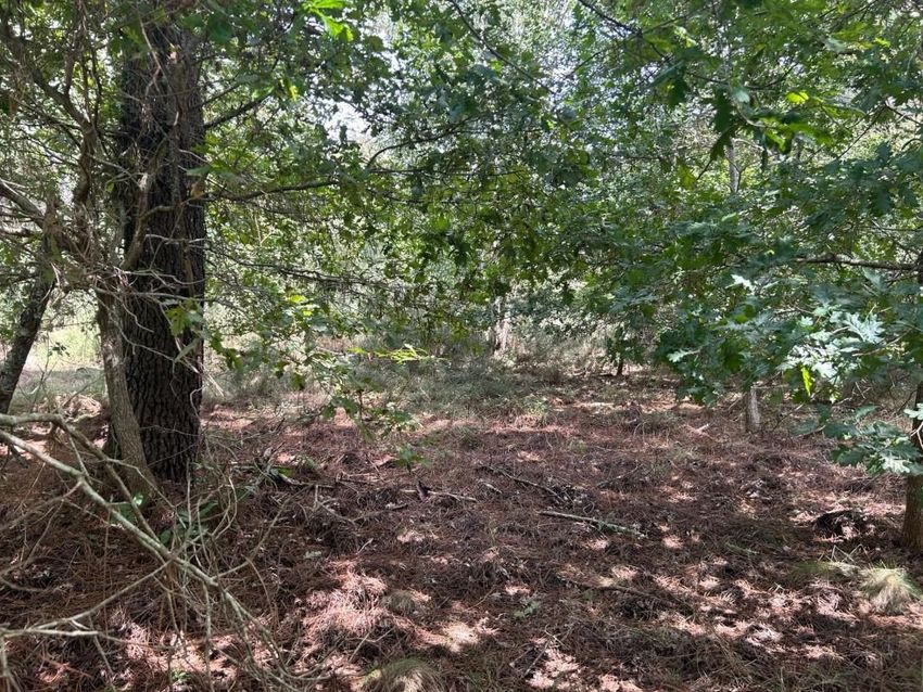 Image de terrain à Mézos