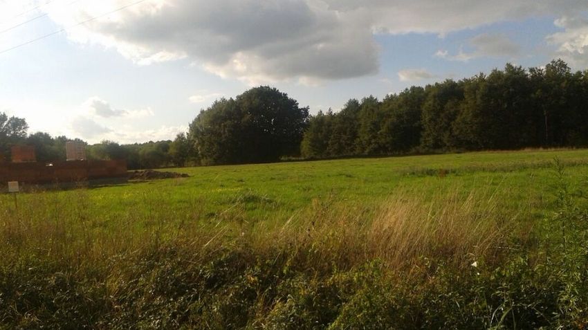 Image de terrain à Langon-sur-Cher