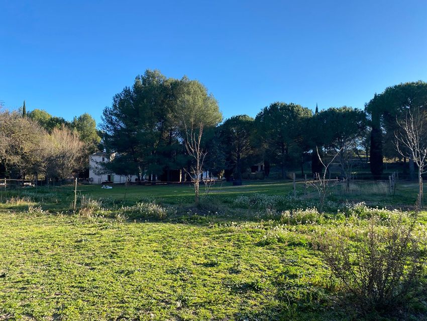 Image de terrain à Poussan