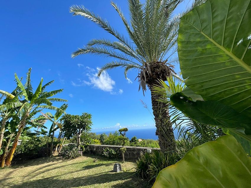 Image Jardin à  maison individuelle de Saint-Leu