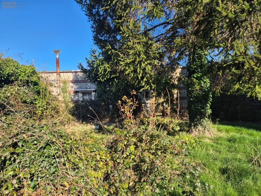 Image Jardin à  maison individuelle de Bolbec