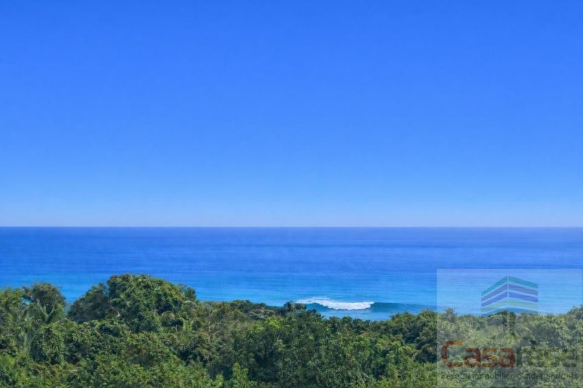 Image Vue à terrain de Petite-Île
