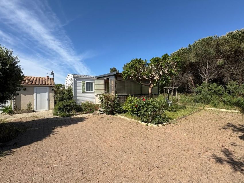 Image de terrain à Dolus-d'Oléron